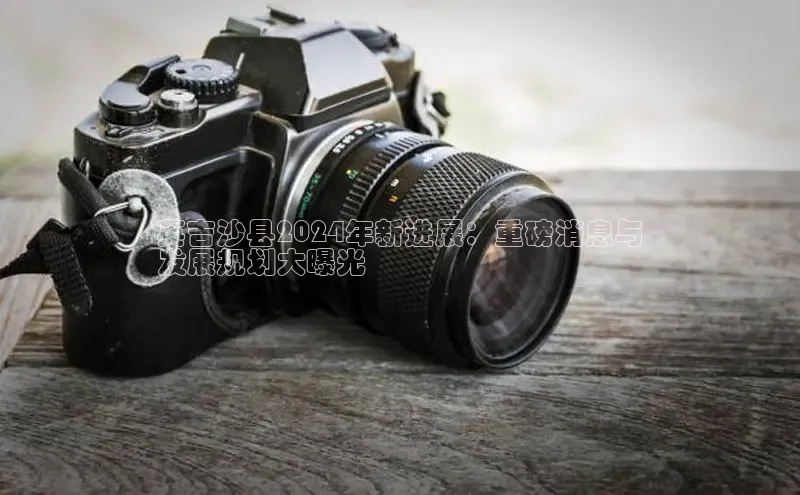 EON4代理轻美电器英吉沙县2024年新进展：重磅消息与
发展规划大曝光