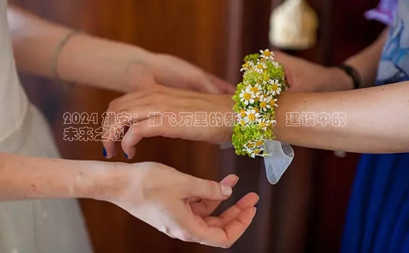 意昂4招商汉得信息2024 雄安：雄飞万里的新都市，建设中的
未来之城