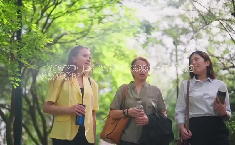 意昂体育4代理光魔科技**2024年中国遭遇毁灭性洪灾：最新消息和
应对措施**