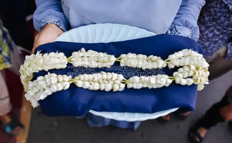 EON4雷柏科技**新标题：** 2024年大选：最新民
意调查披露候选人支持率和热门话题