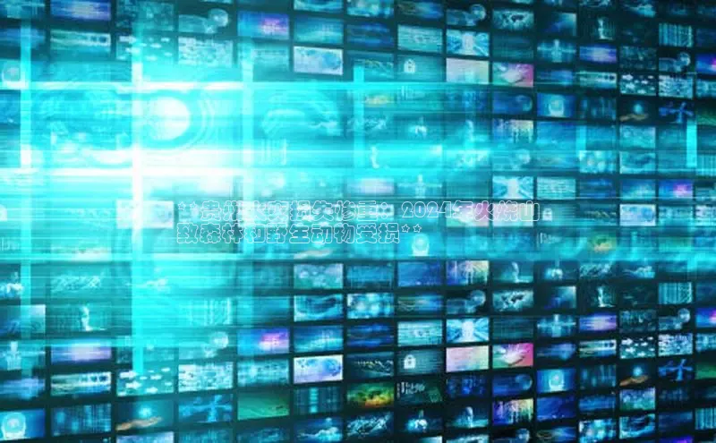 意昂4登录百度众测**贵州火灾损失惨重：2024年火烧山
致森林和野生动物受损**