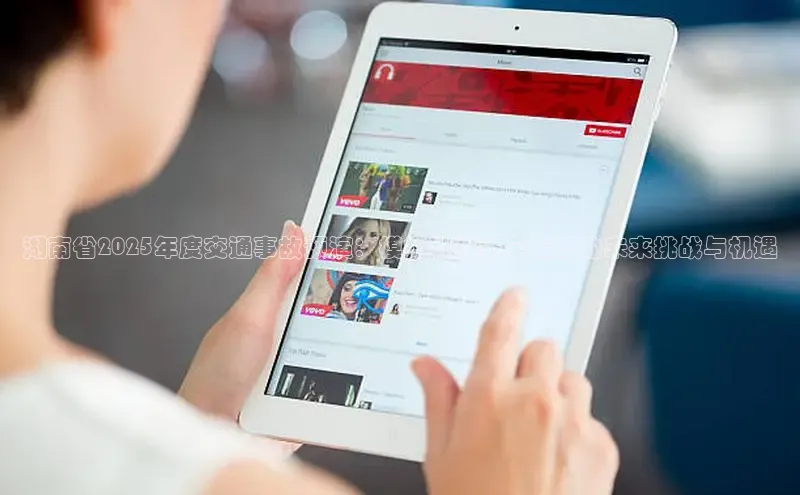 湖南省2025年度交通事故预演：模拟数据安全策略的未来挑战与机遇