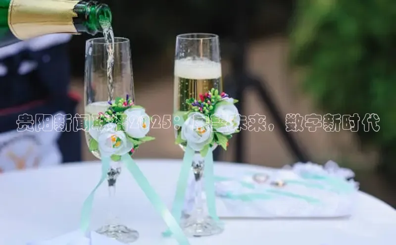 贵阳新闻联播2025：展望未来，数字新时代