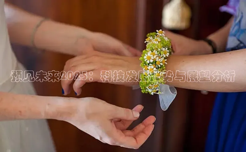 预见未来2025：科技发展趋势与展望分析
